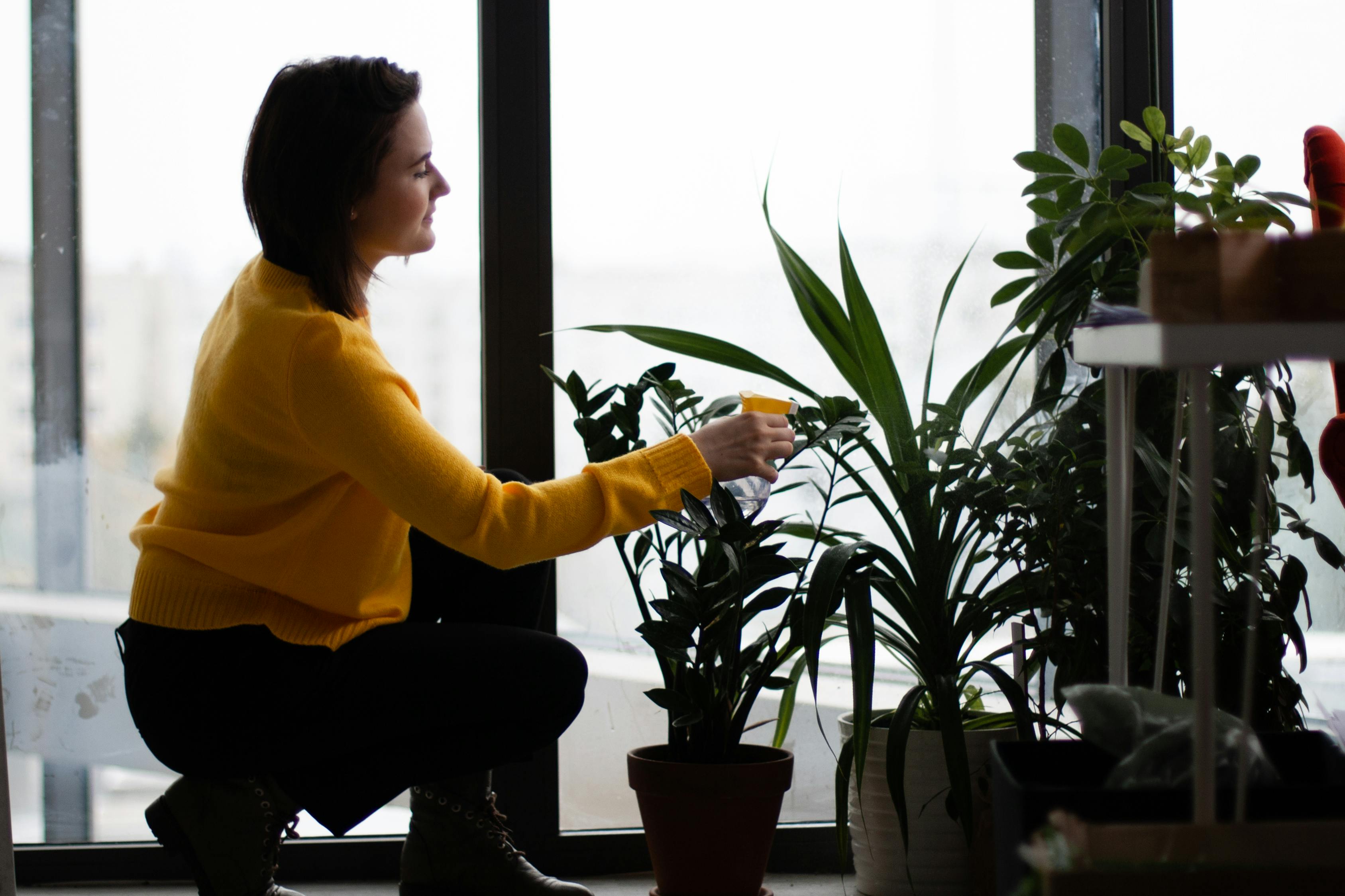 孙广军桃树修剪教学视频，园艺艺术的传承与普及实践
