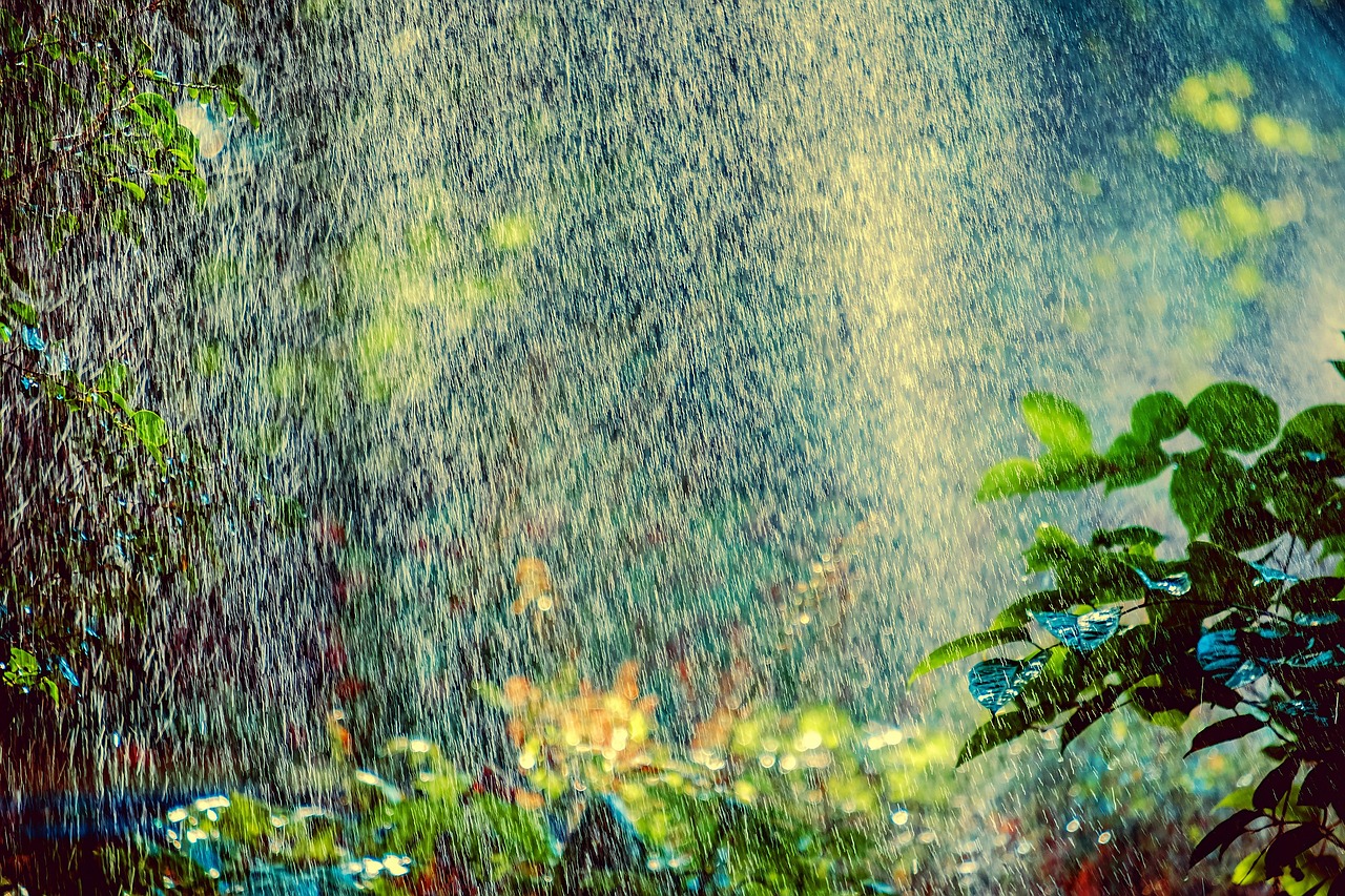 夏日小说魅力与畅想，折火一夏的故事畅想