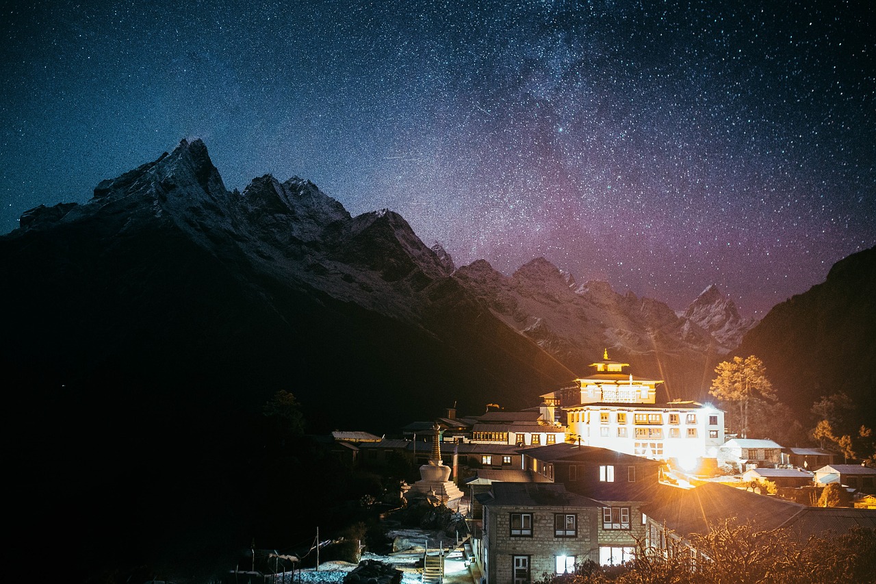 荒野有情天——情感与冒险的电影之旅