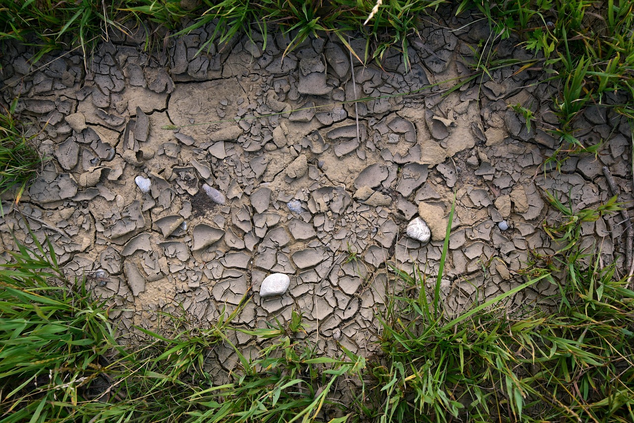 金刚砂地面价格详解与分析报告