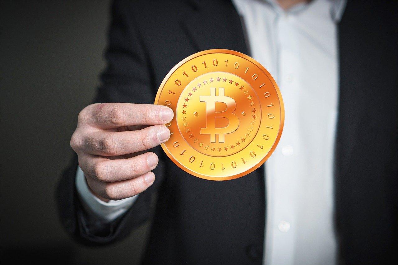 玉米面价格最新行情及分析概览