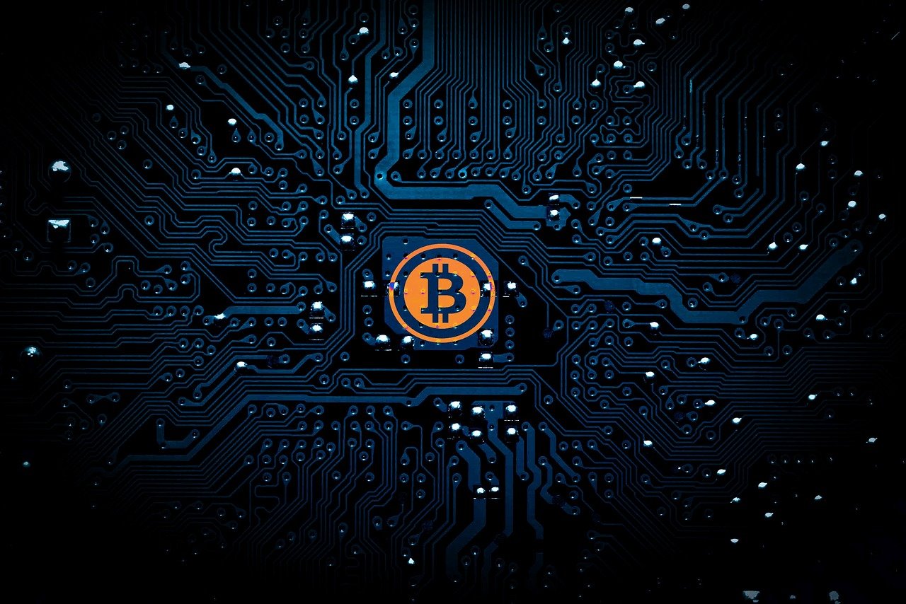 探寻娱乐圈璀璨之路，狩猎明星之旅