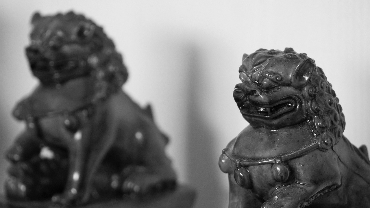 武打电影的魅力与传承，东方动作艺术的辉煌展现