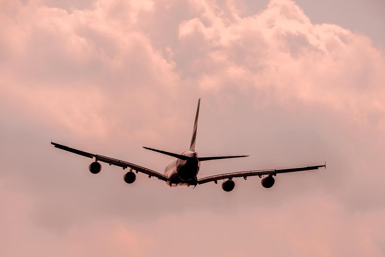 探索无限可能的航空之旅，随意飞最新体验